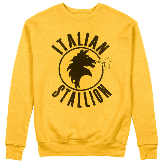 CUC Felpa Girocollo ITALIAN STALLION - Vintage - Rocky - Cult #chooseurcolor