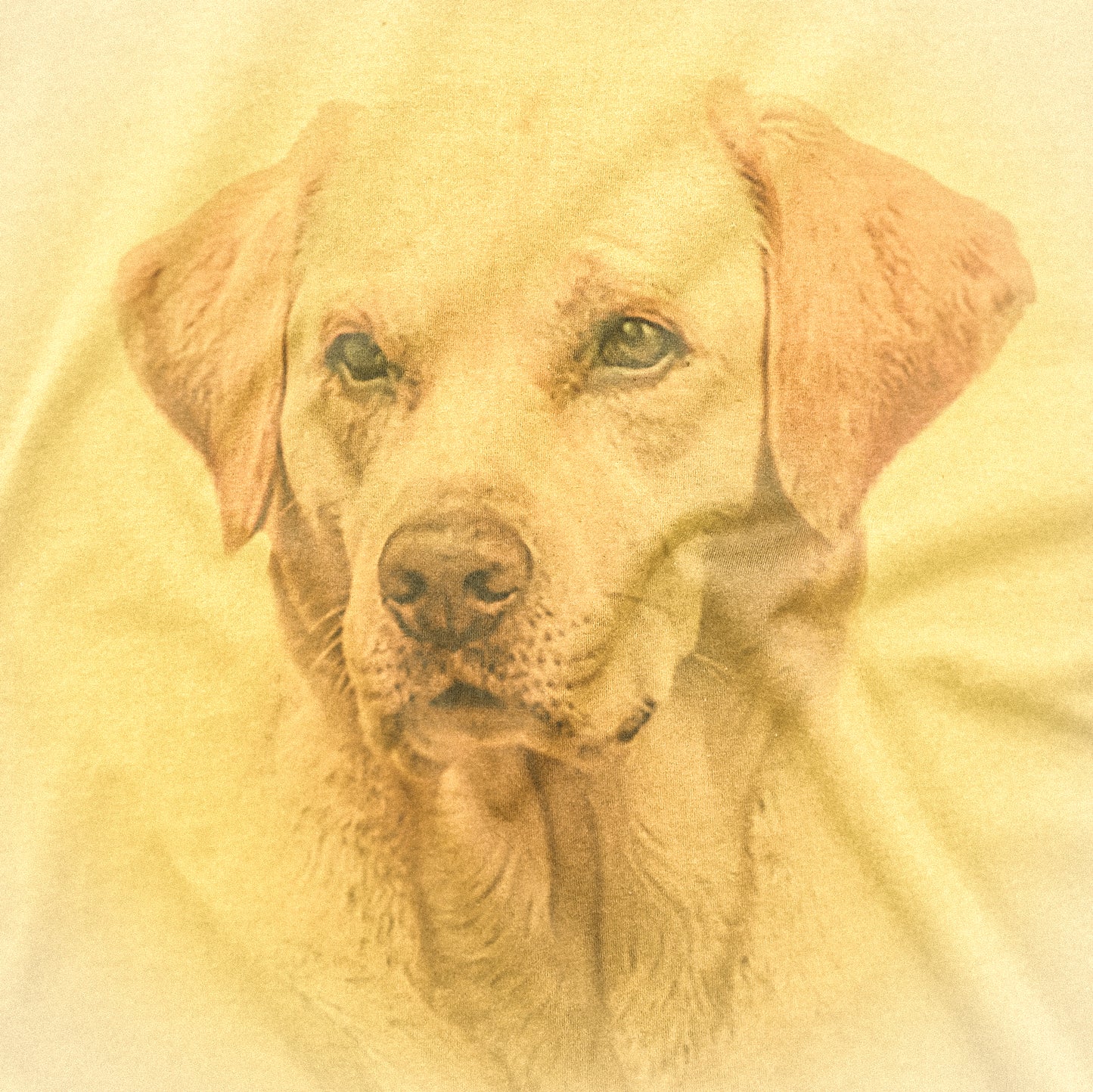 CUC T-Shirt LABRADOR - Hangover 2 - Alan - Una notte da Leoni #chooseurcolor