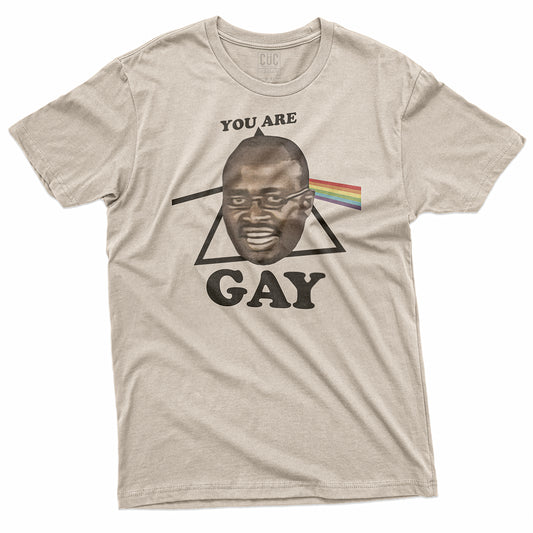 CUC T-Shirt YOU ARE GAY - Meme - Pride  #chooseurcolor